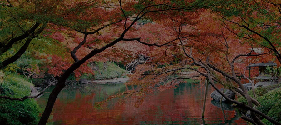 Take a Refreshing Stroll in One of Tokyo’s Many Parks