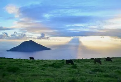 Photo of Tokyo Islands