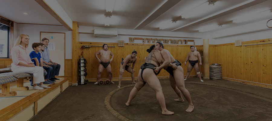 Attend an Early-morning Sumo Practice