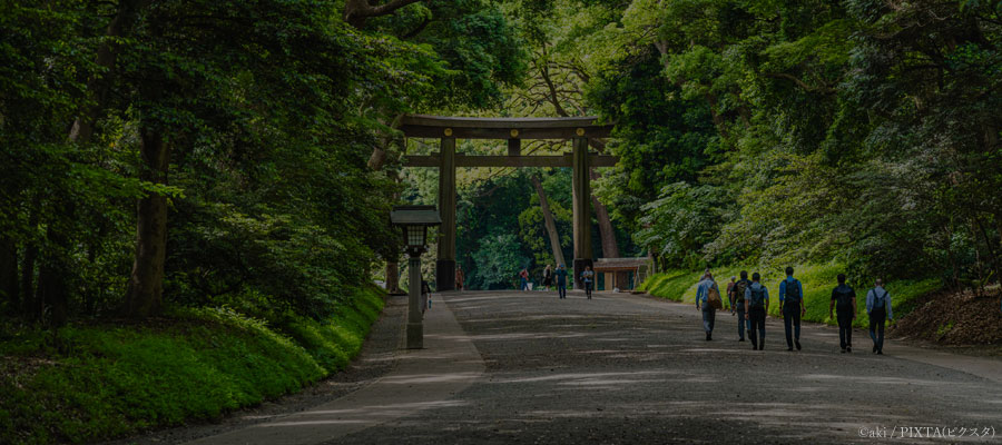 Tour the Woodlands of Meiji Jingu