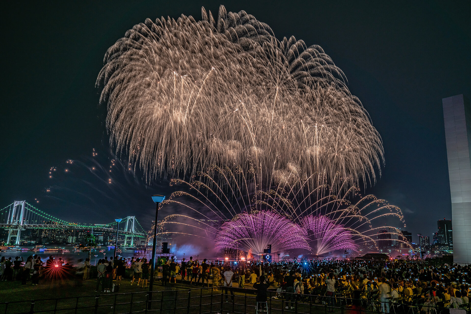 Fireworks lights up the night view of Tokyo