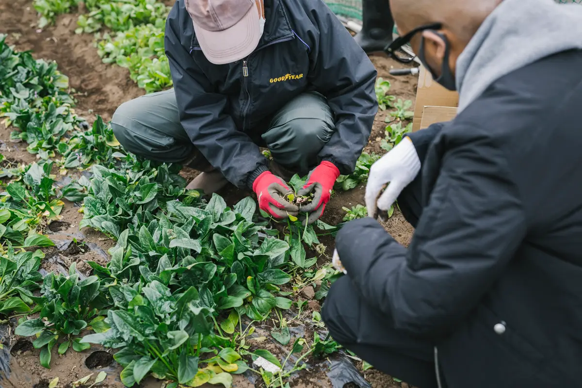 Spend an Afternoon on a Private Farm