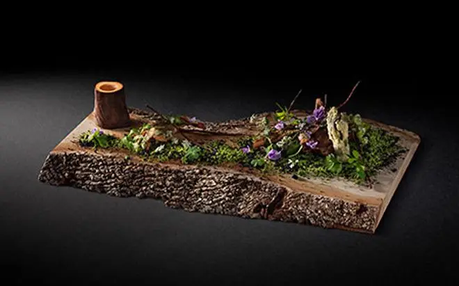 <p>SUSTAINABILITY-CONSCIOUS RESTAURANTS</p>