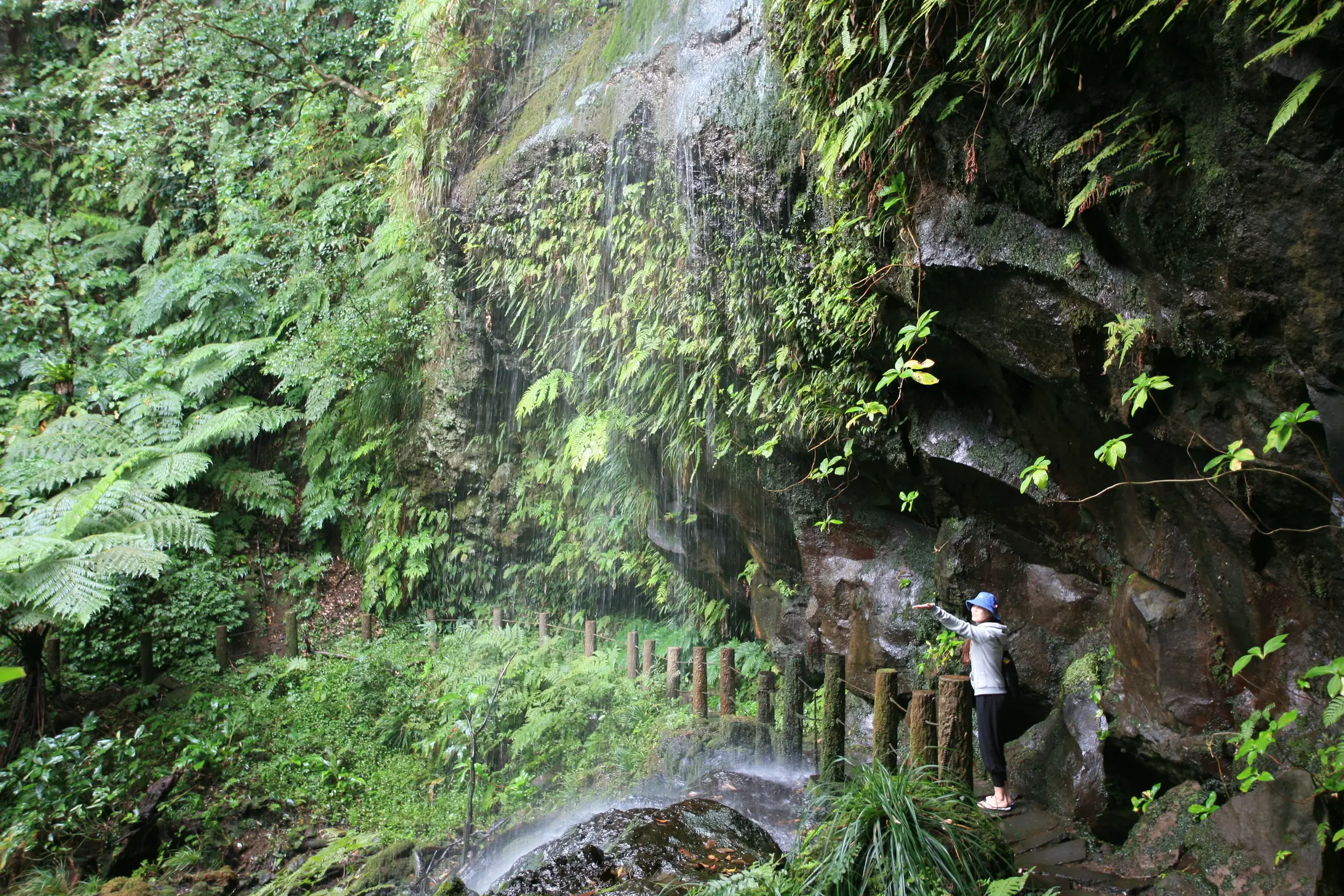 <p>Dive and Trek Around Izu Oshima</p>