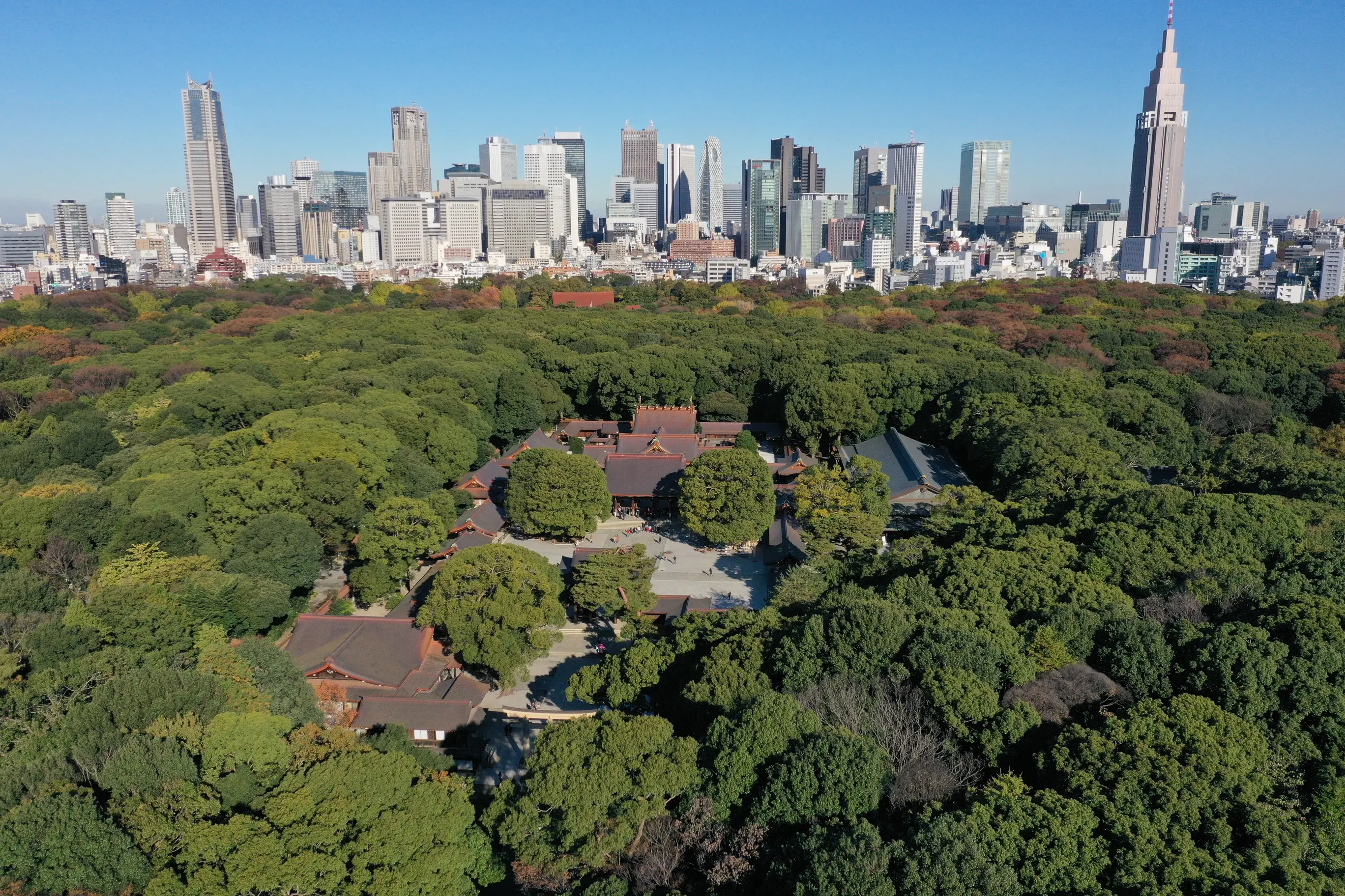 <p>Meiji Jingu Shrine Visit With Shinto Prayer</p>