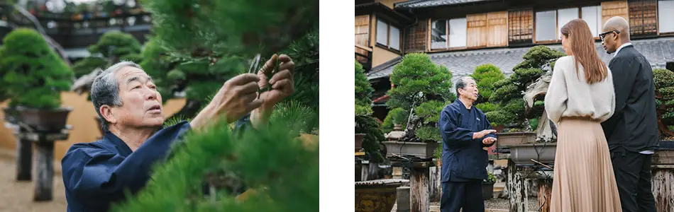 APPRECIATING NATURE, THE JAPANESE WAY