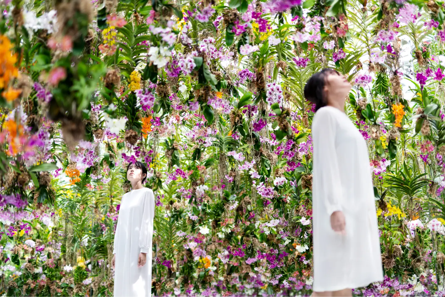 teamLab Planets TOKYO