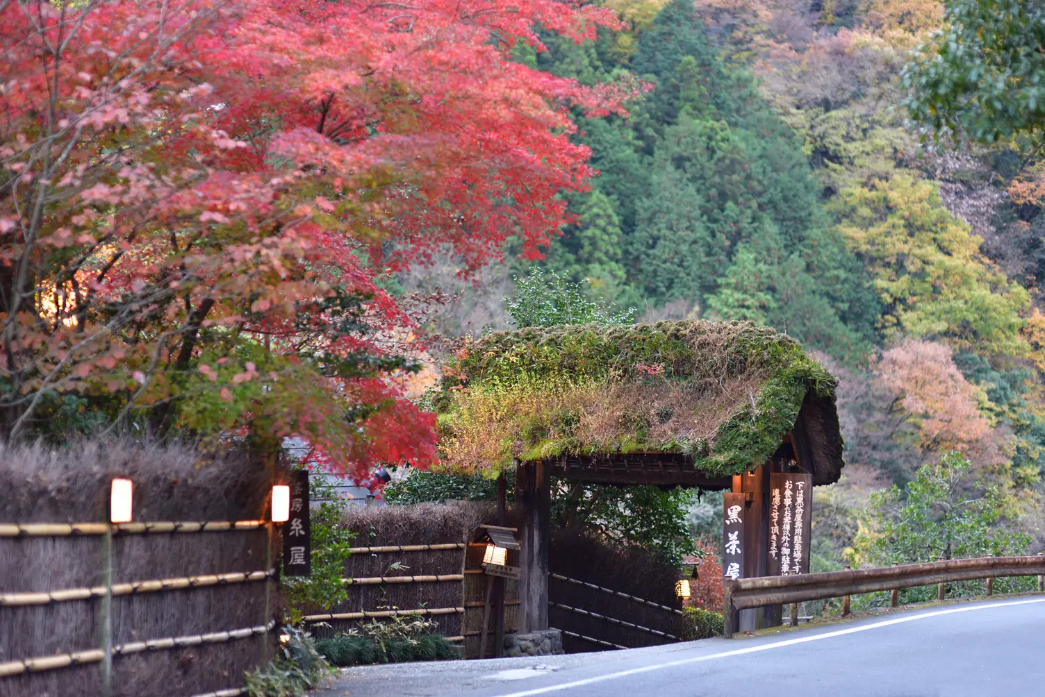 <p>Wagyu Lunch in a Mountainside Village</p>