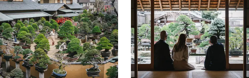 APPRECIATING NATURE, THE JAPANESE WAY