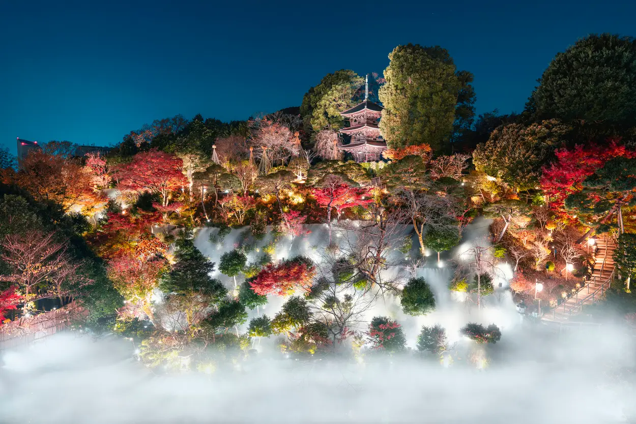 <p>Experience the Tokyo Sea of Clouds</p>