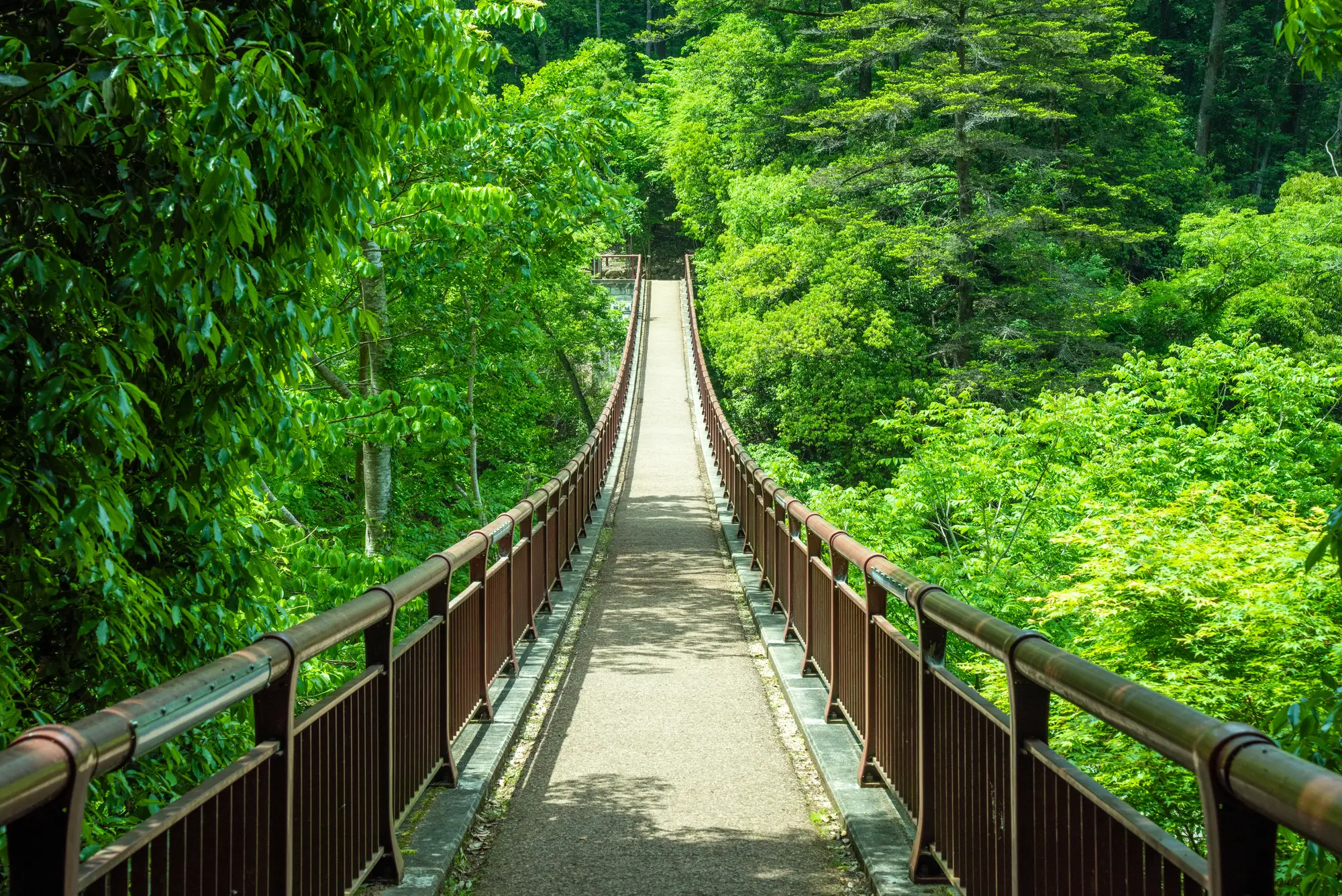 <p>Walk the Trails of the Akigawa Valley</p>