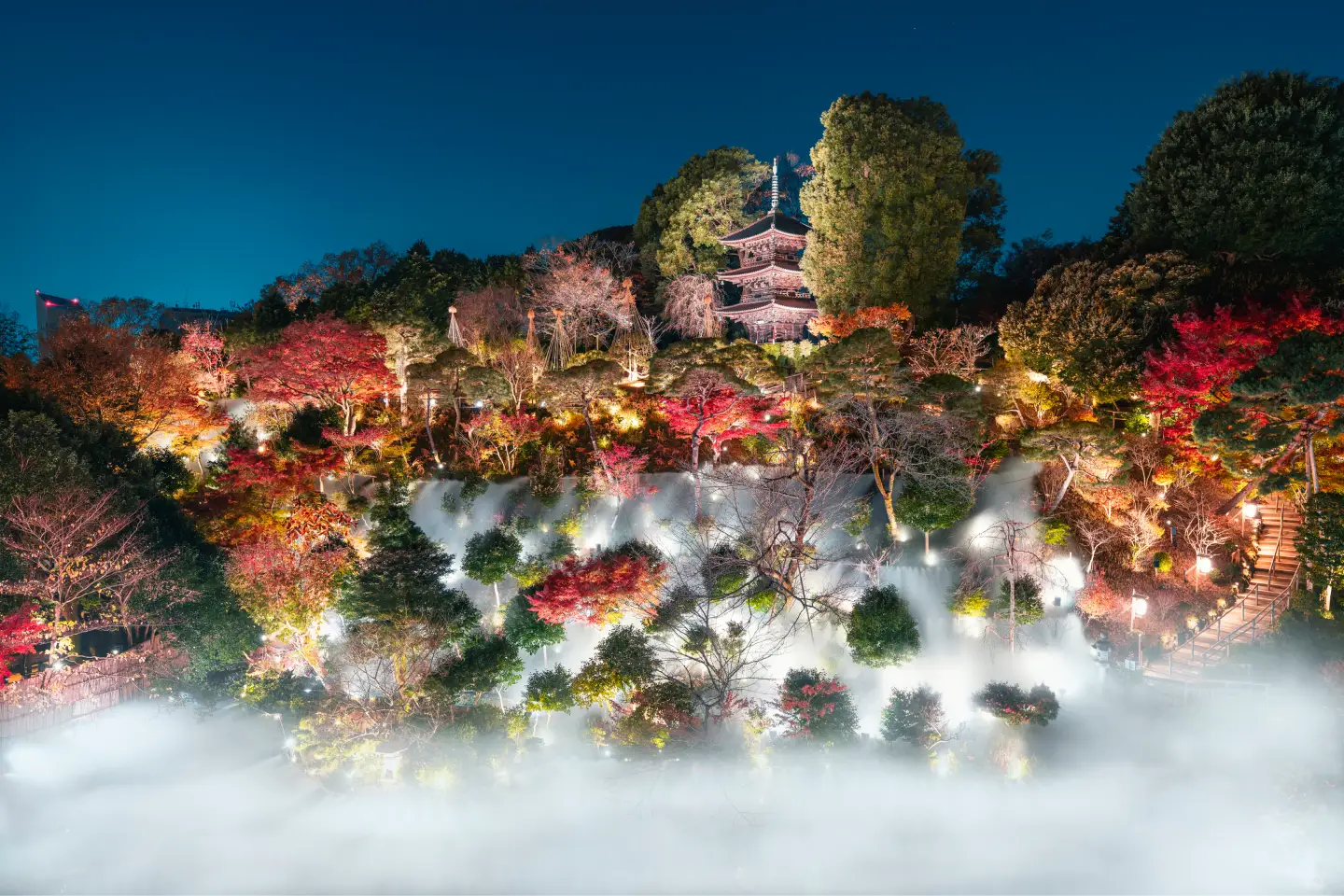 Tokyo Sea of Clouds