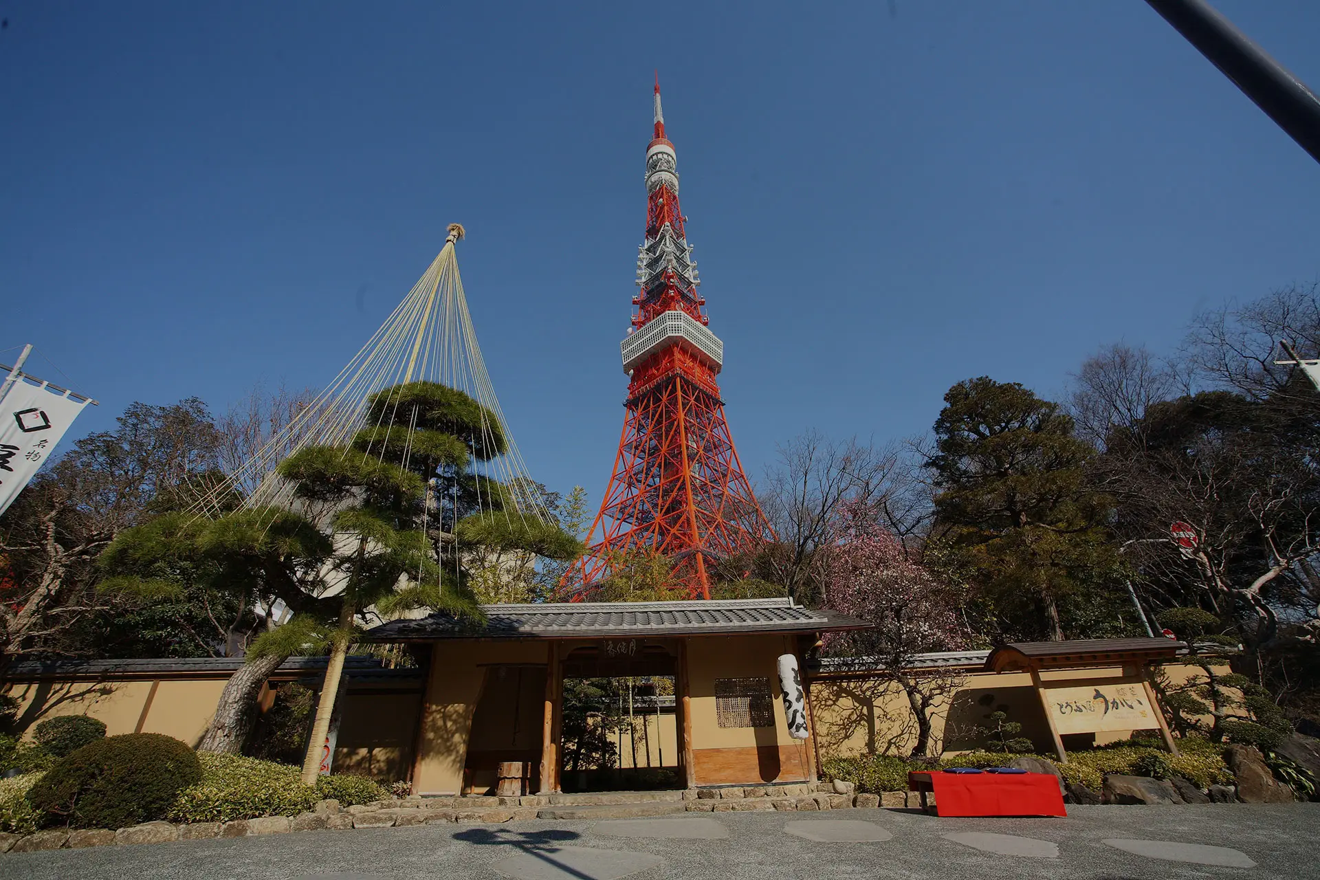 A HIDDEN TASTE OF TOKYO