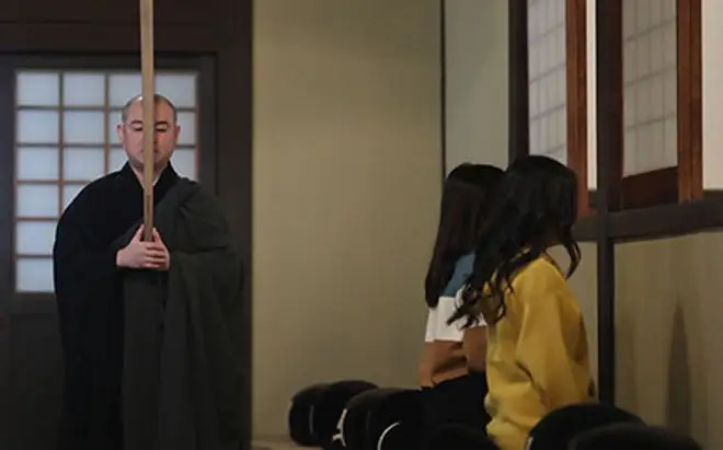 <p>ZEN FOR YOUR EVERYDAY LIFE</p>