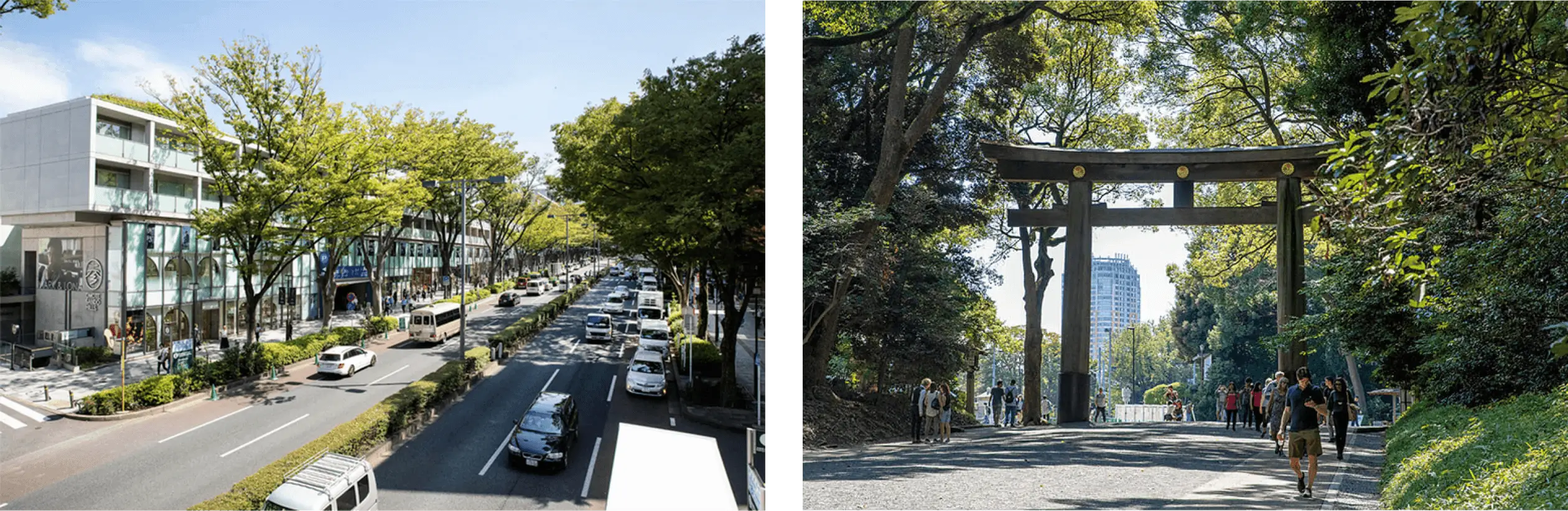 left:HAMA-RIKYU GARDENS (Shiodome),  right:meijjingu